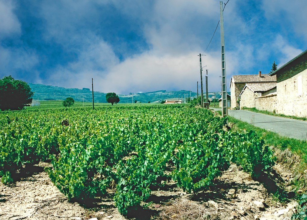 Alt="Photo of stormy sky Beaujolais France"