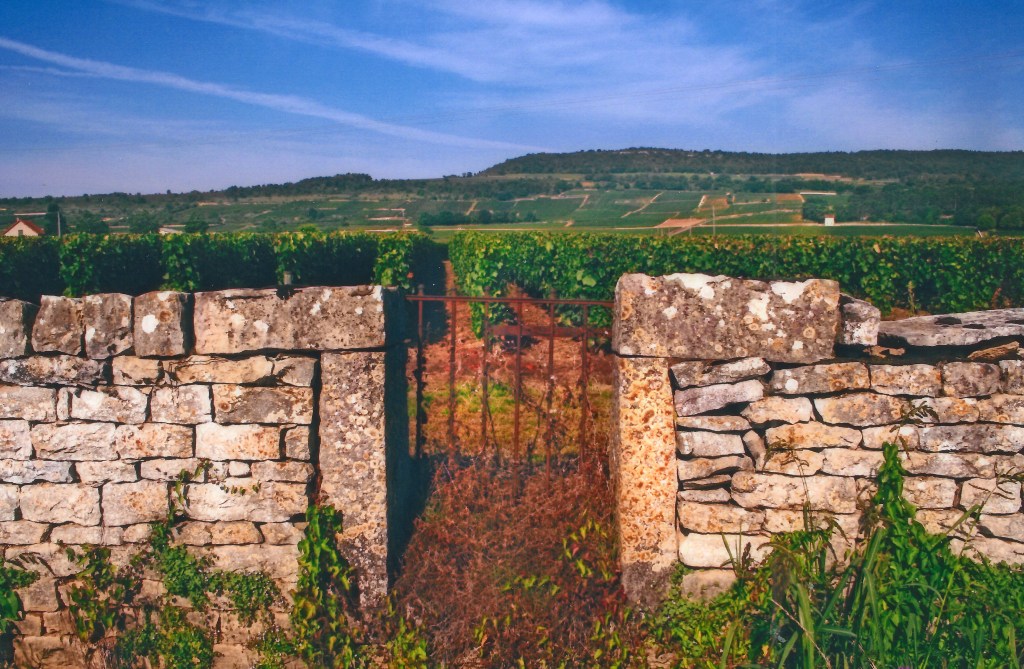 Alt="Photo of Burgundy vineyards France"