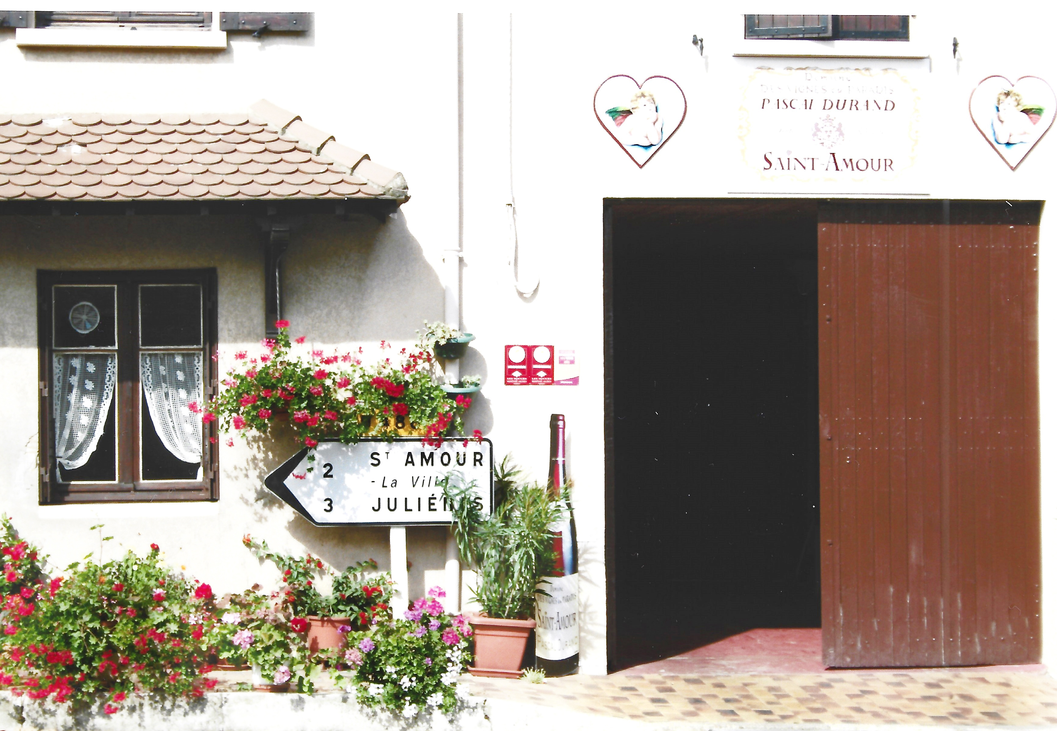 Alt="Photo of wine cellar in St Amour France"
