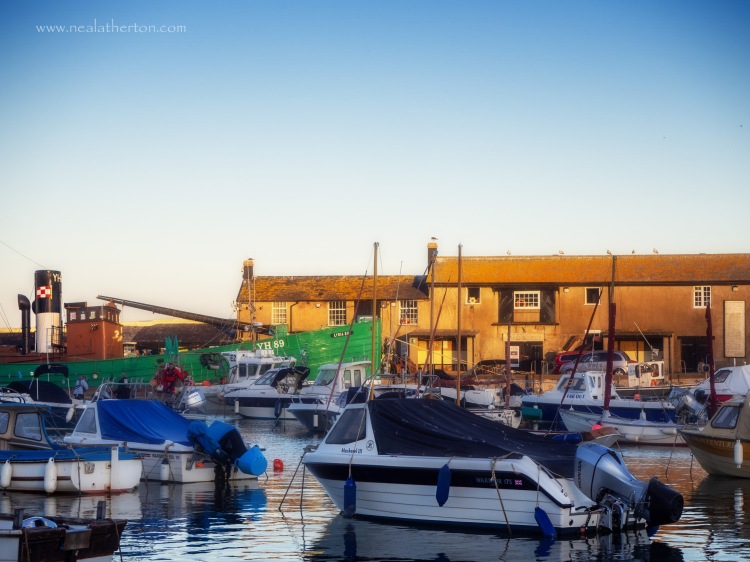Alt="The harbour at Lyme Regis in Evening light"