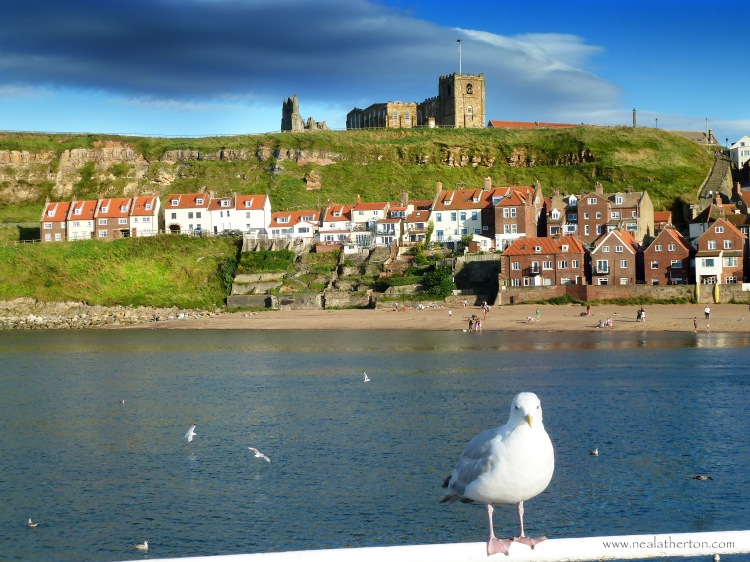 Alt=seagull by harbour and Whitby church and Abbey ruins"