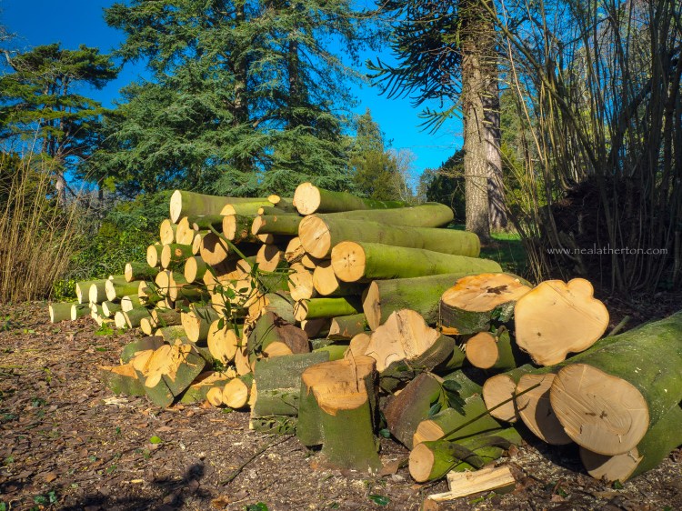 Alt="Log pile at Tytesfield House North Somerset"