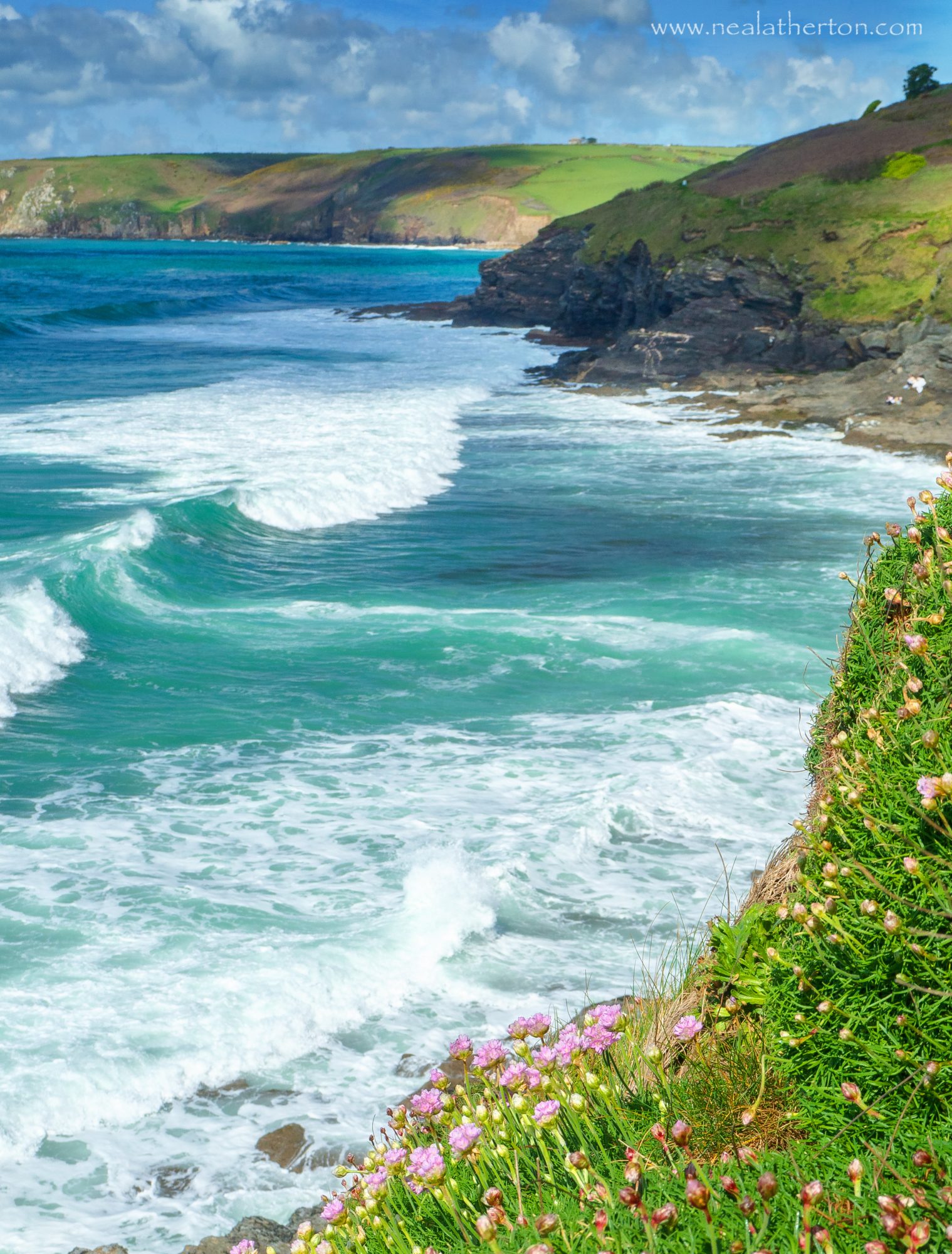 Porthleven cliff path with spring flowers and lively waves crashing into the cliffs in Cornwall