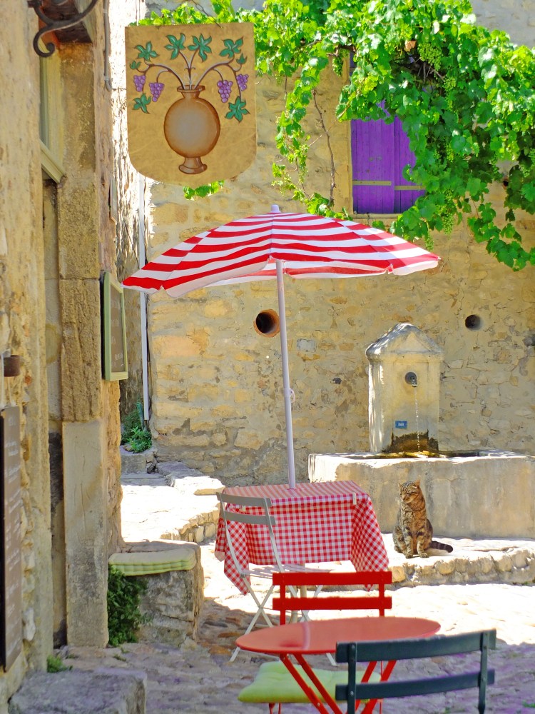A sleepy cat waits for diners around a courtyard cafe in Provence