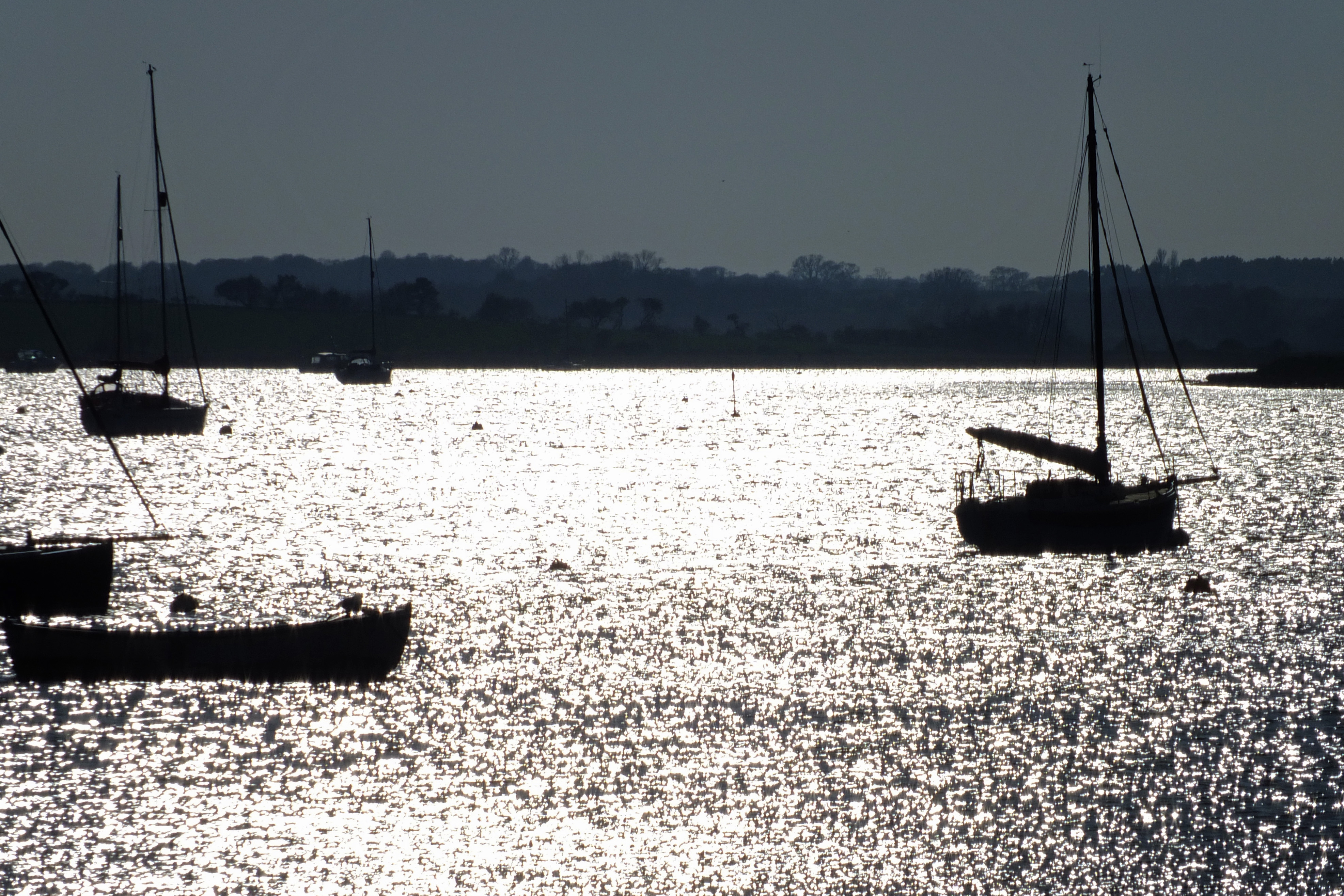 evening sun reflected on the water with boats sailing in evening sun