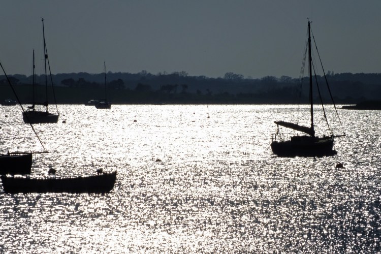 evening sun reflected on the water with boats sailing in evening sun
