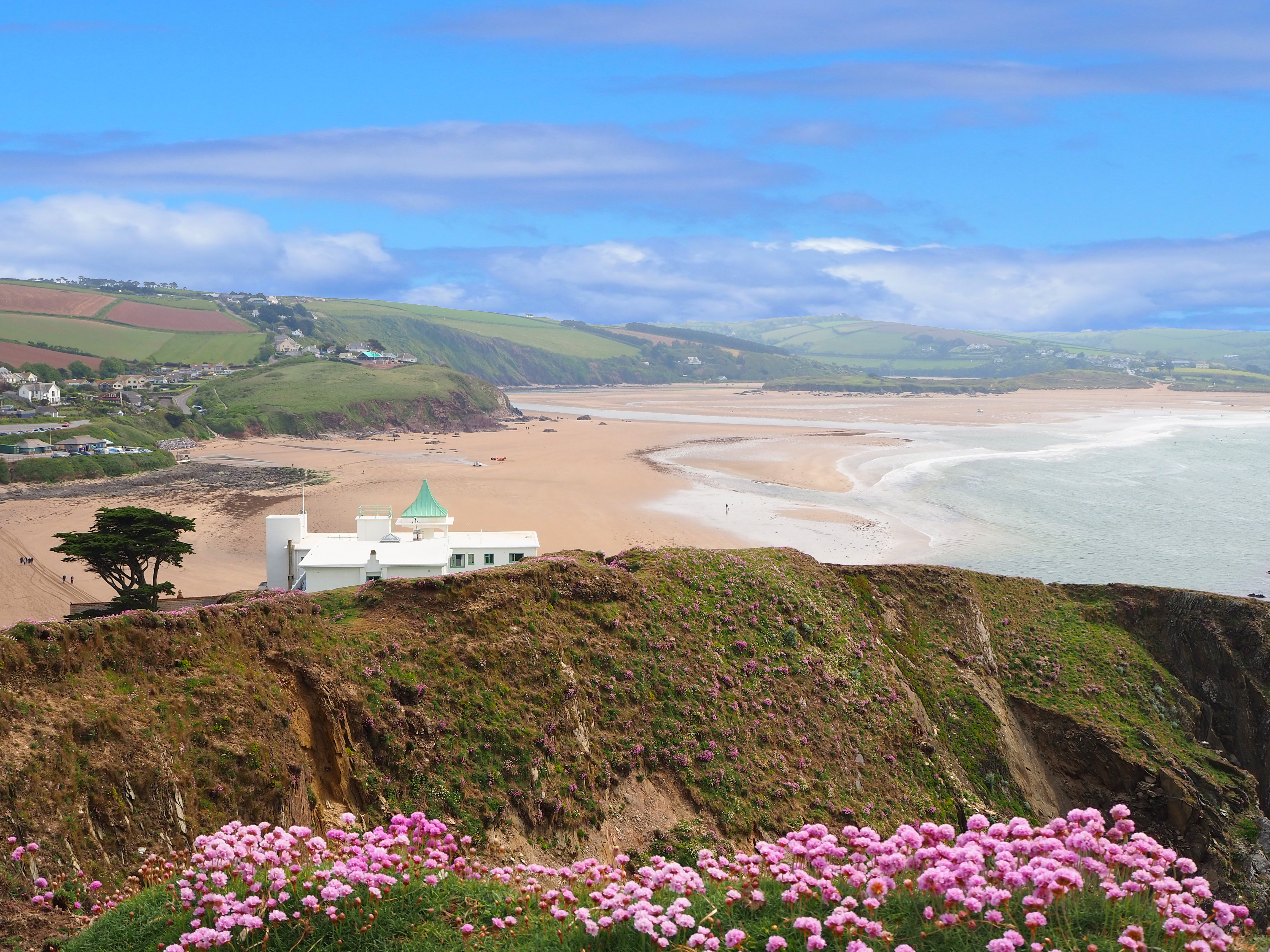 flowers on island with hotel and beach and sea with coast