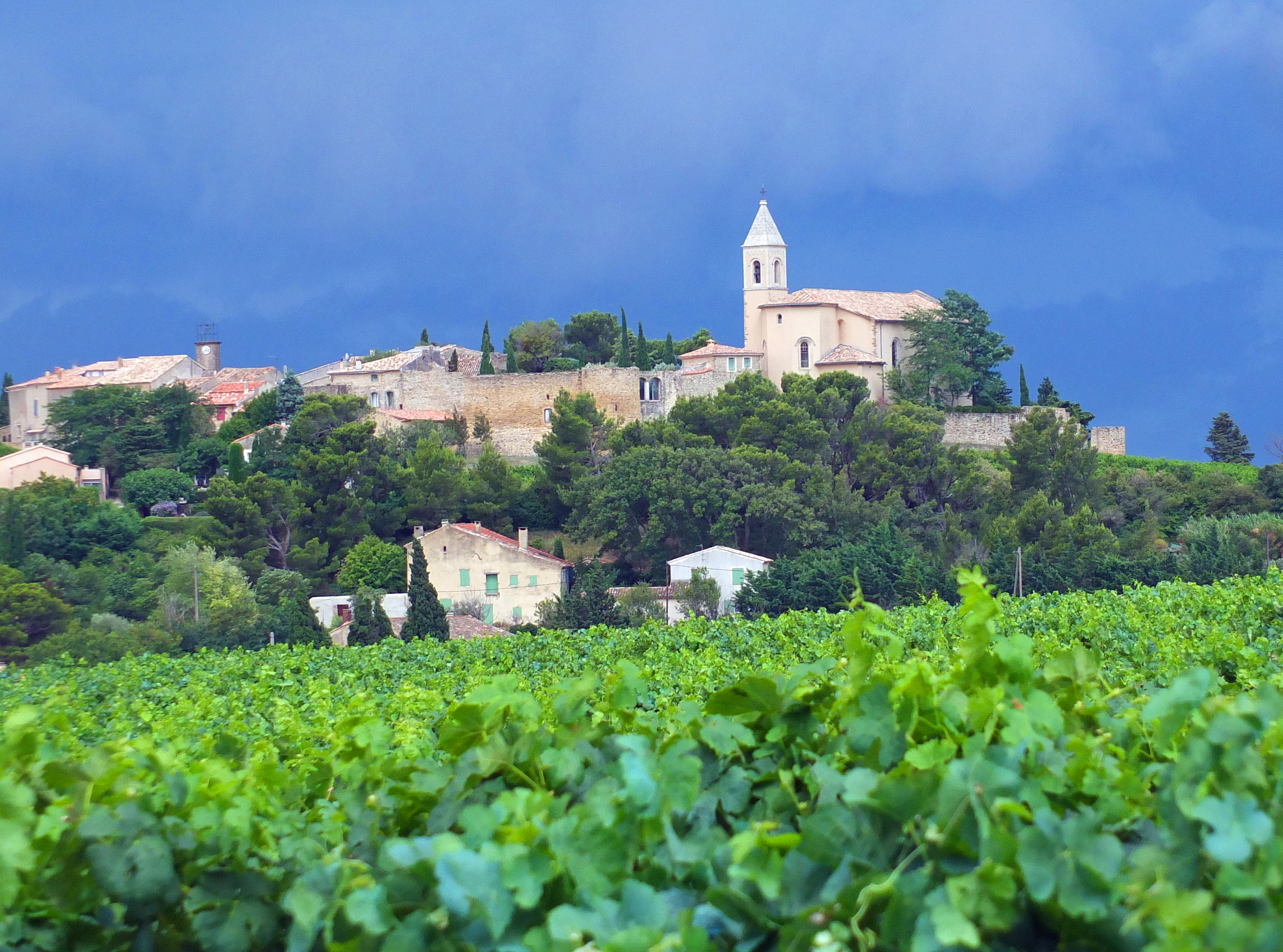 Vineyard in front of village with church and stormy sky