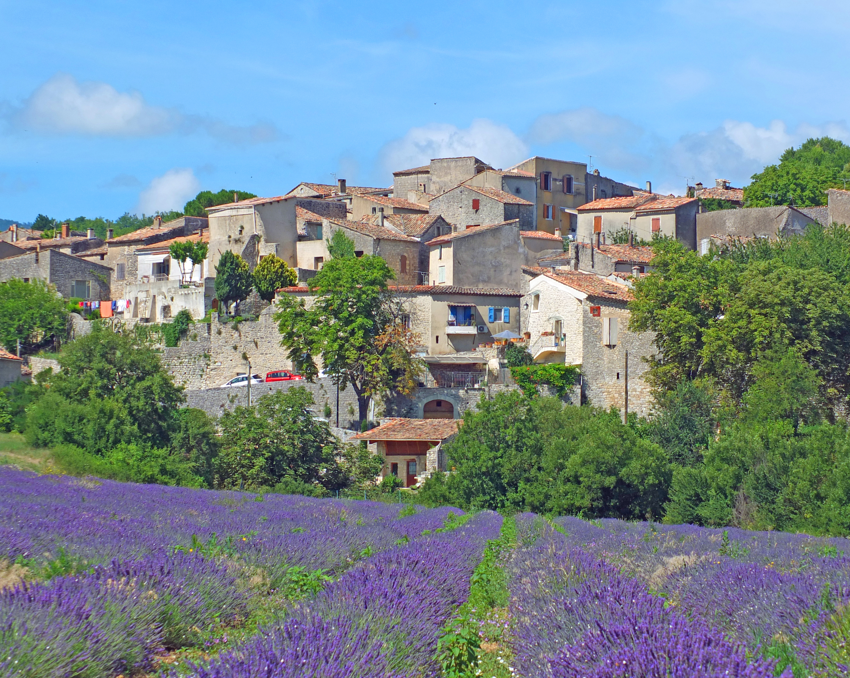 old village houses with lavender fields trees and blue sky