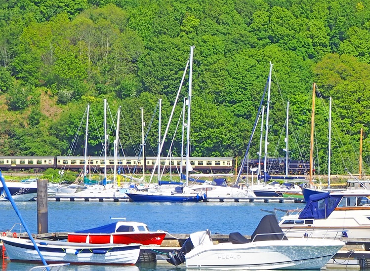 steam train with carriages behind estuary with boats and yachts and trees