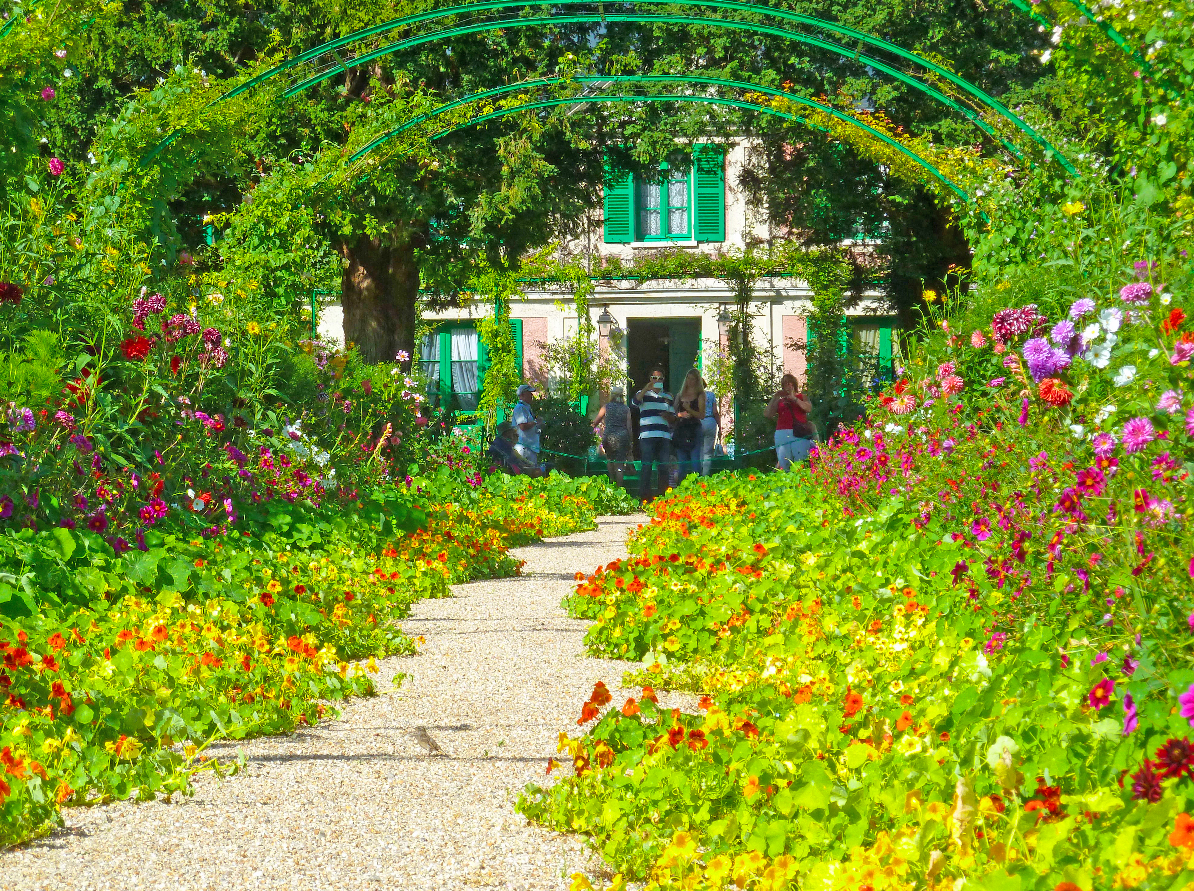 flower borders and arch with house with green shutters