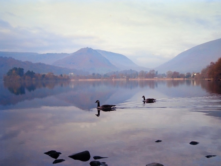two swans on calm lake water with rocks and mountains in hazy sky