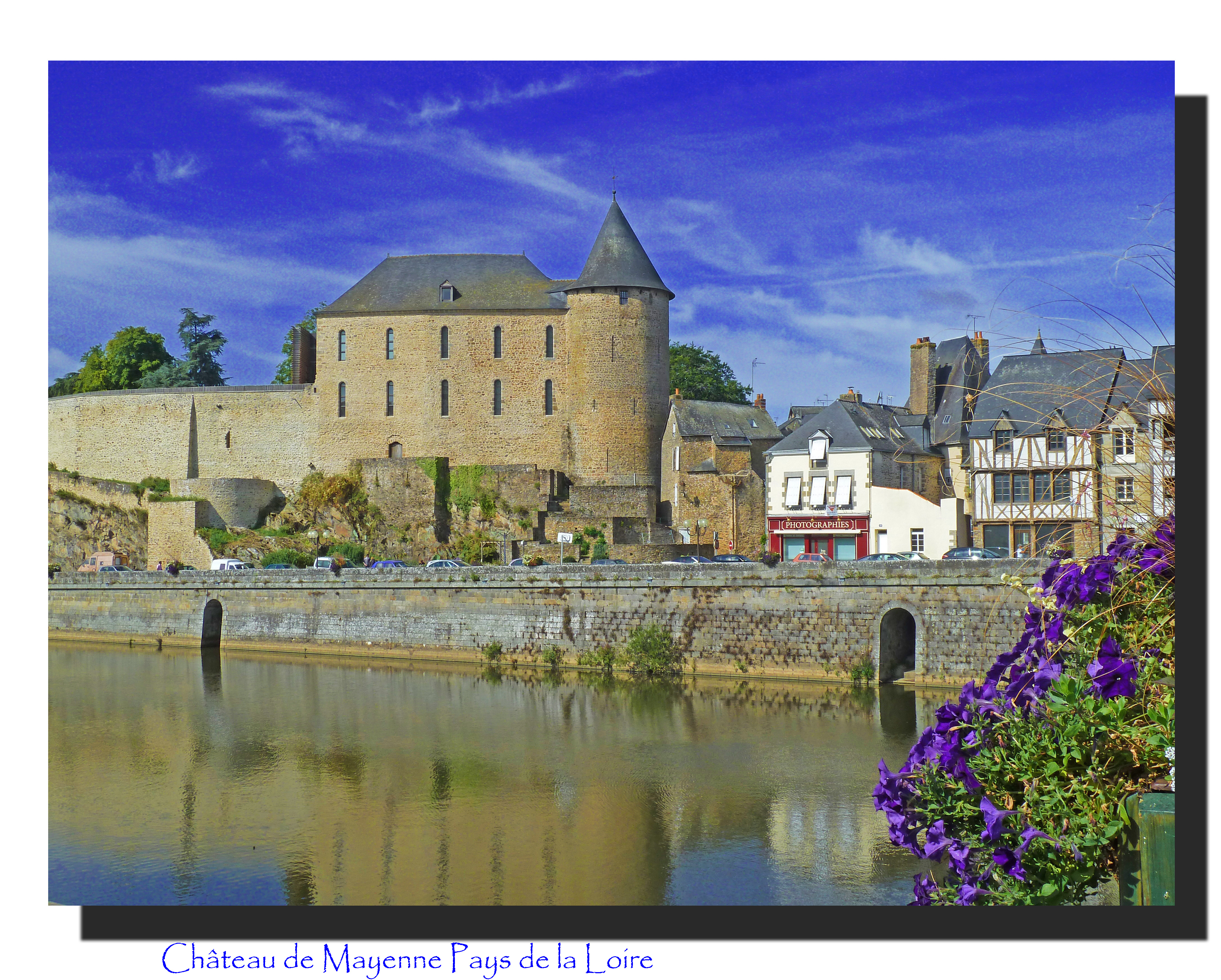 flowers by river with wall and houses with chateau with tower and blue sky