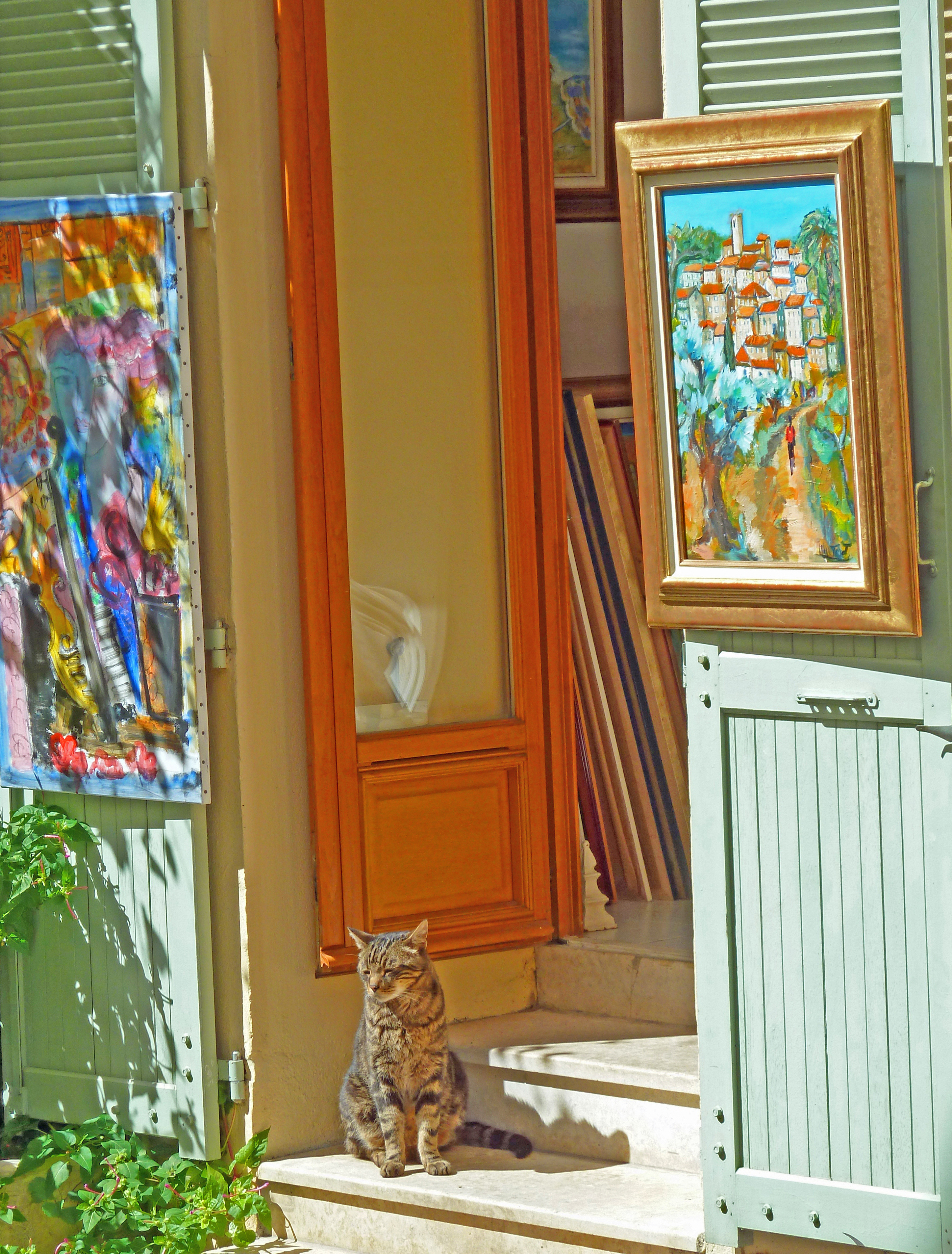 cat on shop step with works of art on shuttered door of art studio