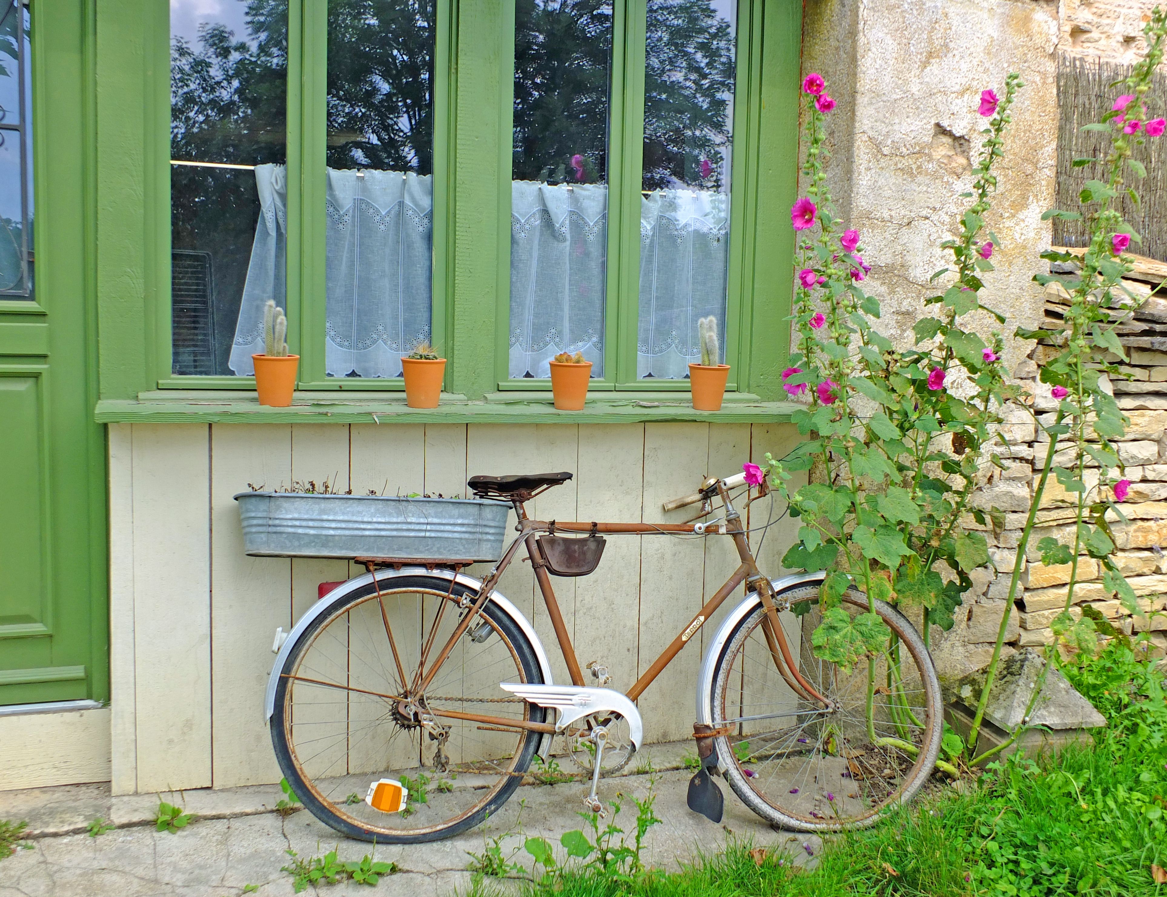 old bicycle with plant pot near flowers in front of green painted cottage window