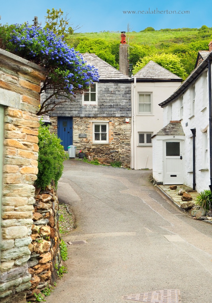 cottages line narrow lane in village by sea with flowers and grassy hill