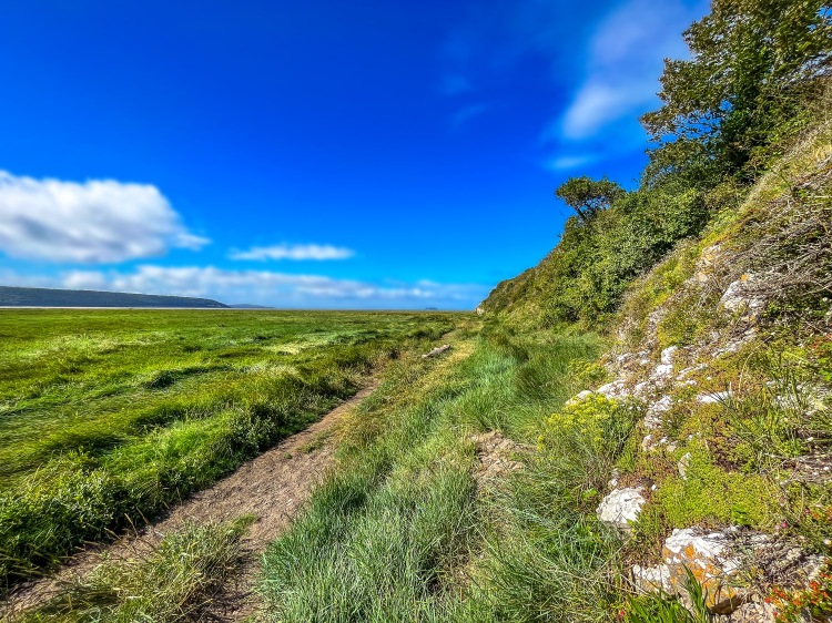 Path by grass fields near beach with rocky sides and blue sky