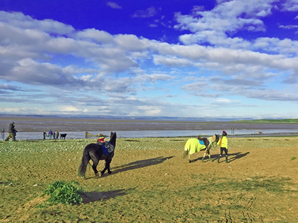 two horses and rider on beach with sea and blue cloudy sky