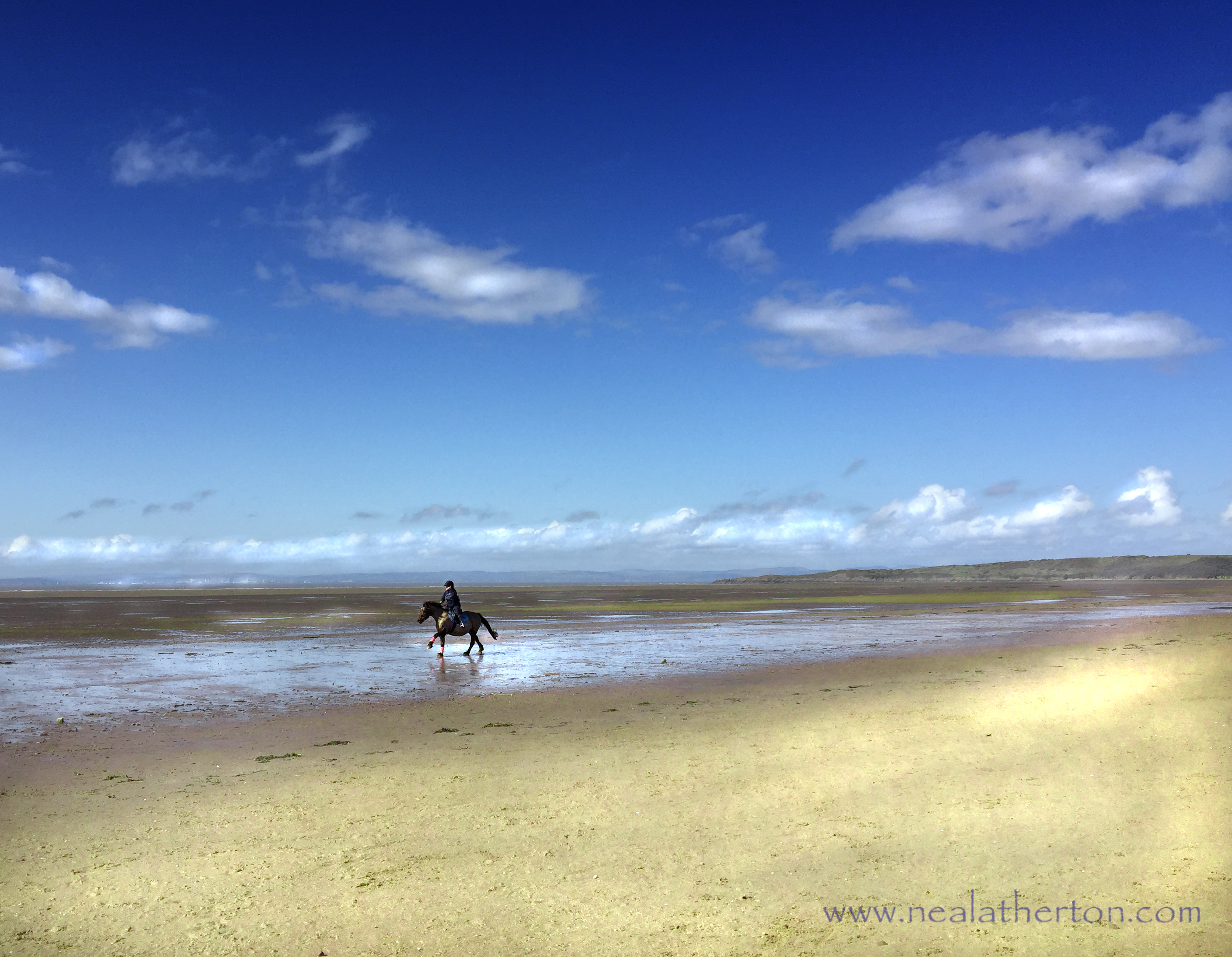 horse and rider on sandy beach with sea and sky