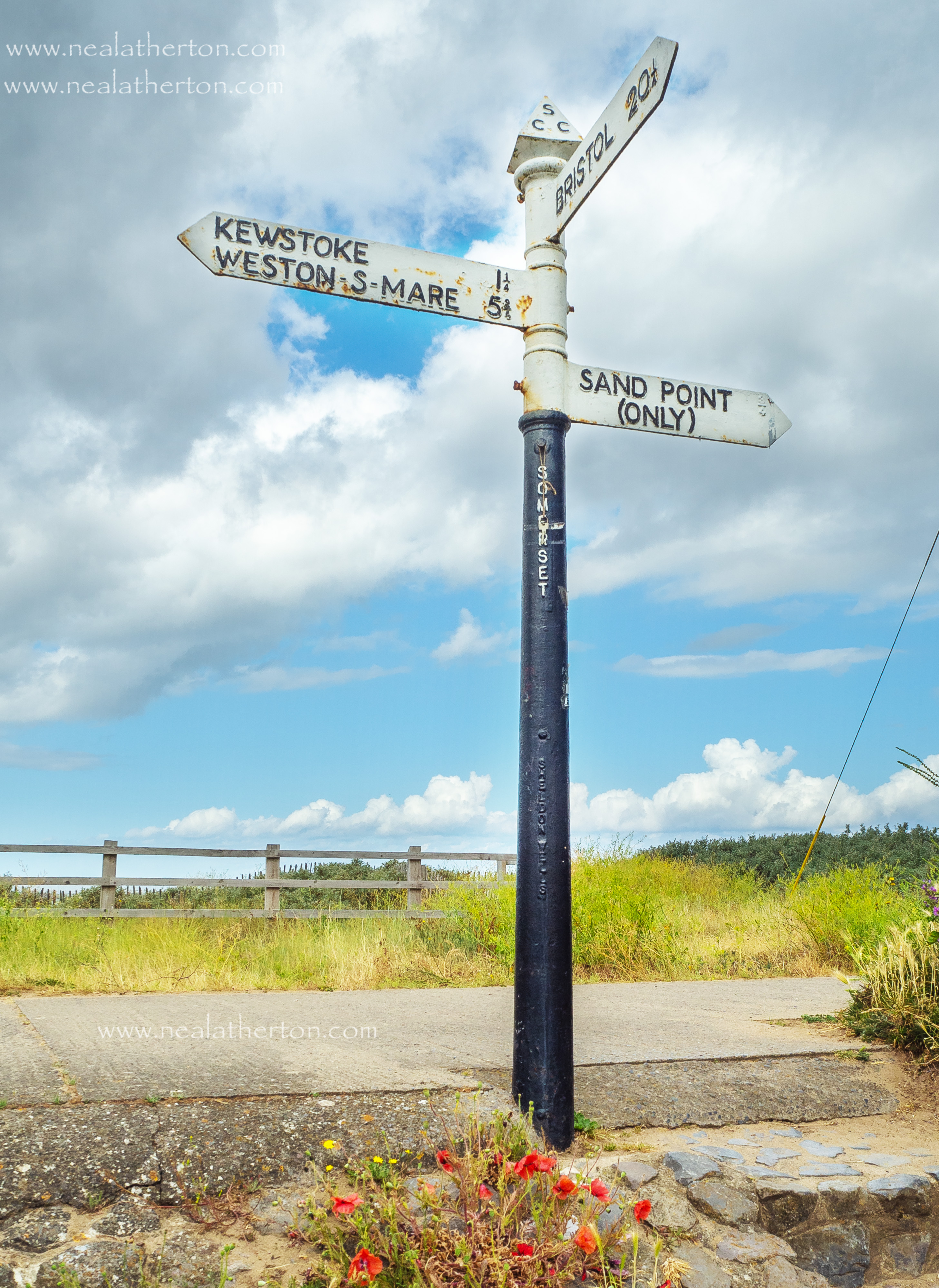 frloers in front of metal road sign with three directions in front of clouds sky