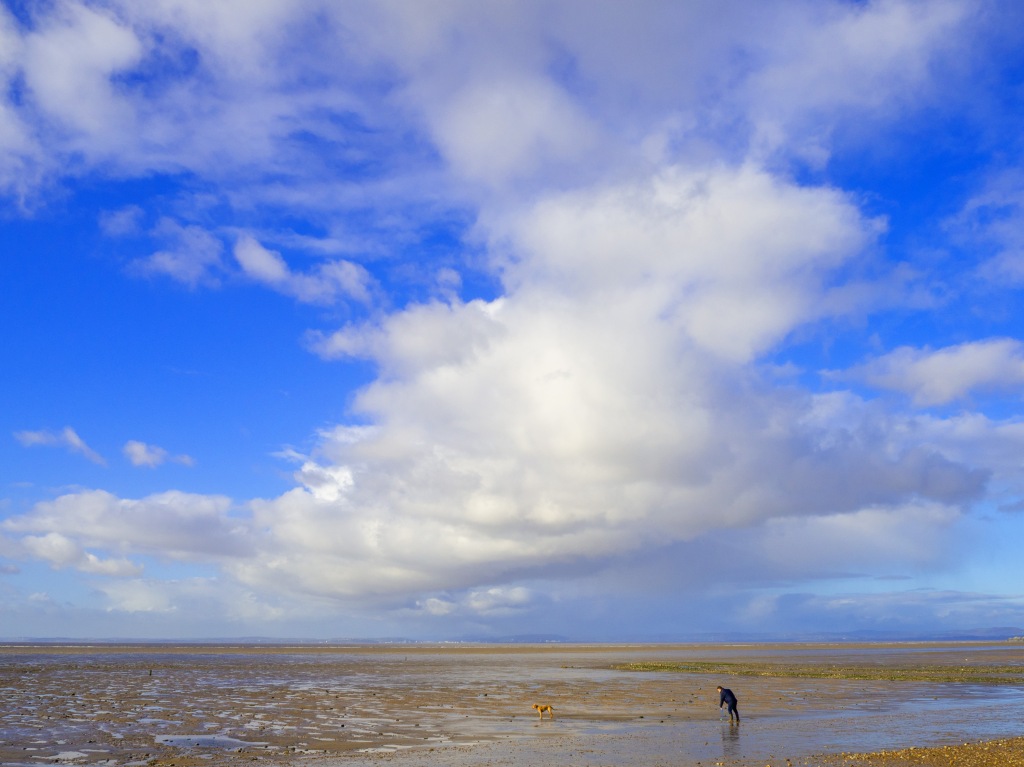 man and dog on wet beach with blue sky and big clouds