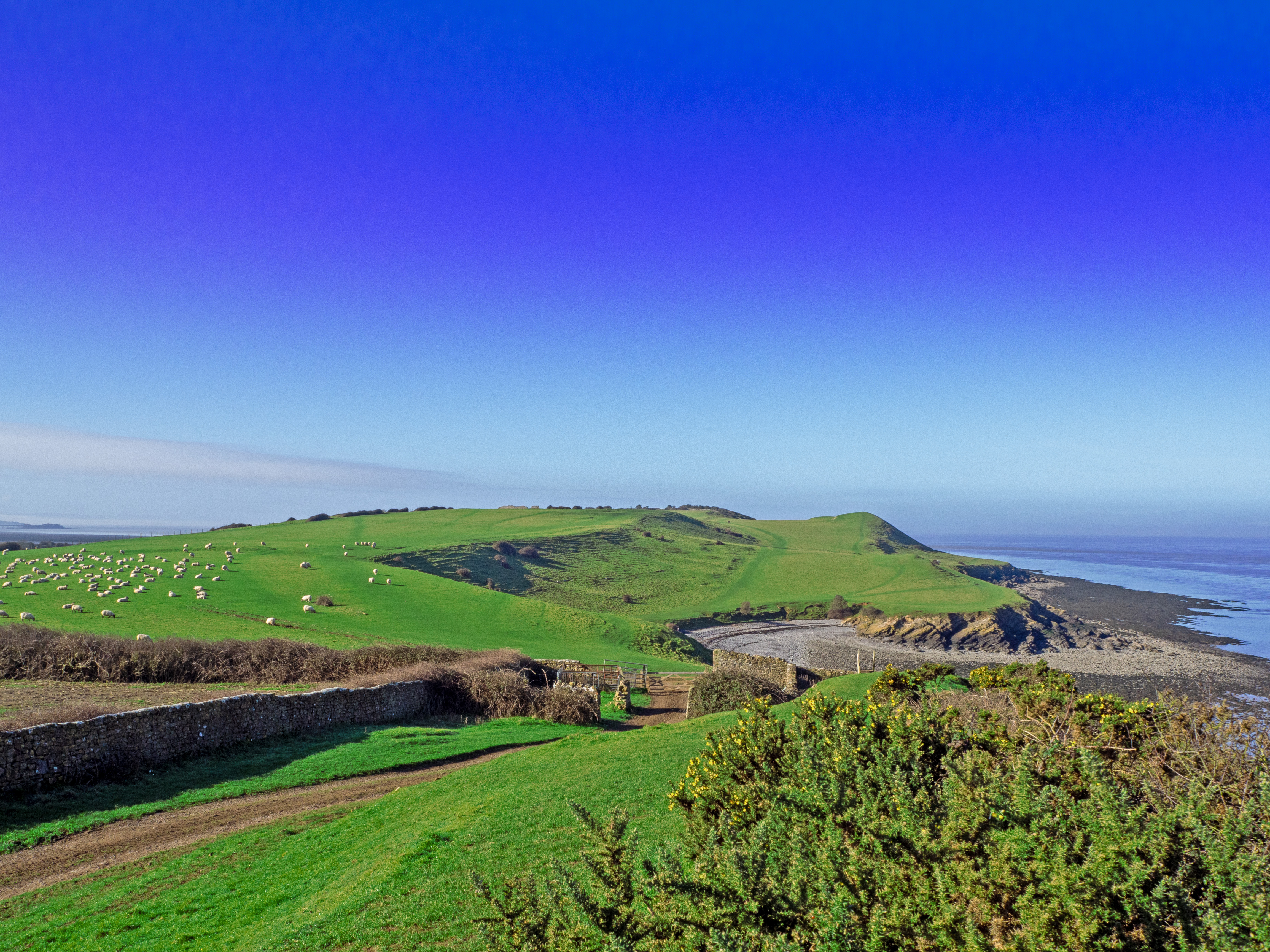 Grassy headland with walls and gate with cove and sea and blue sky
