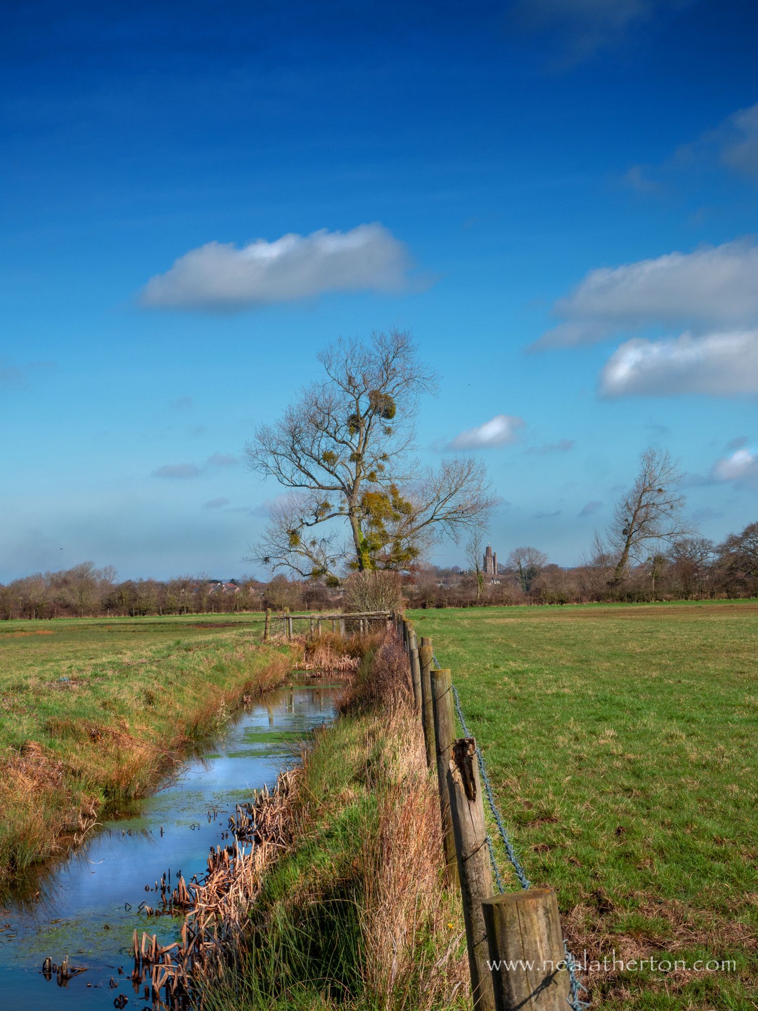 steam with bare tree and wooden fence in fields with blue sky and clouds