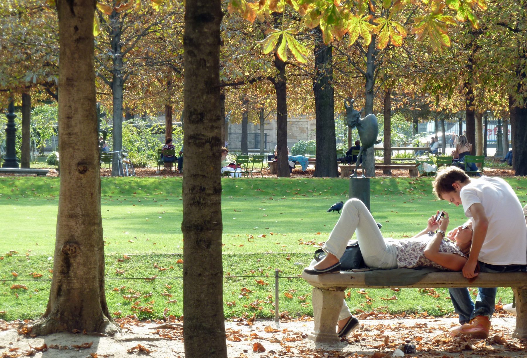 couple on bench with trees and sunlight in park