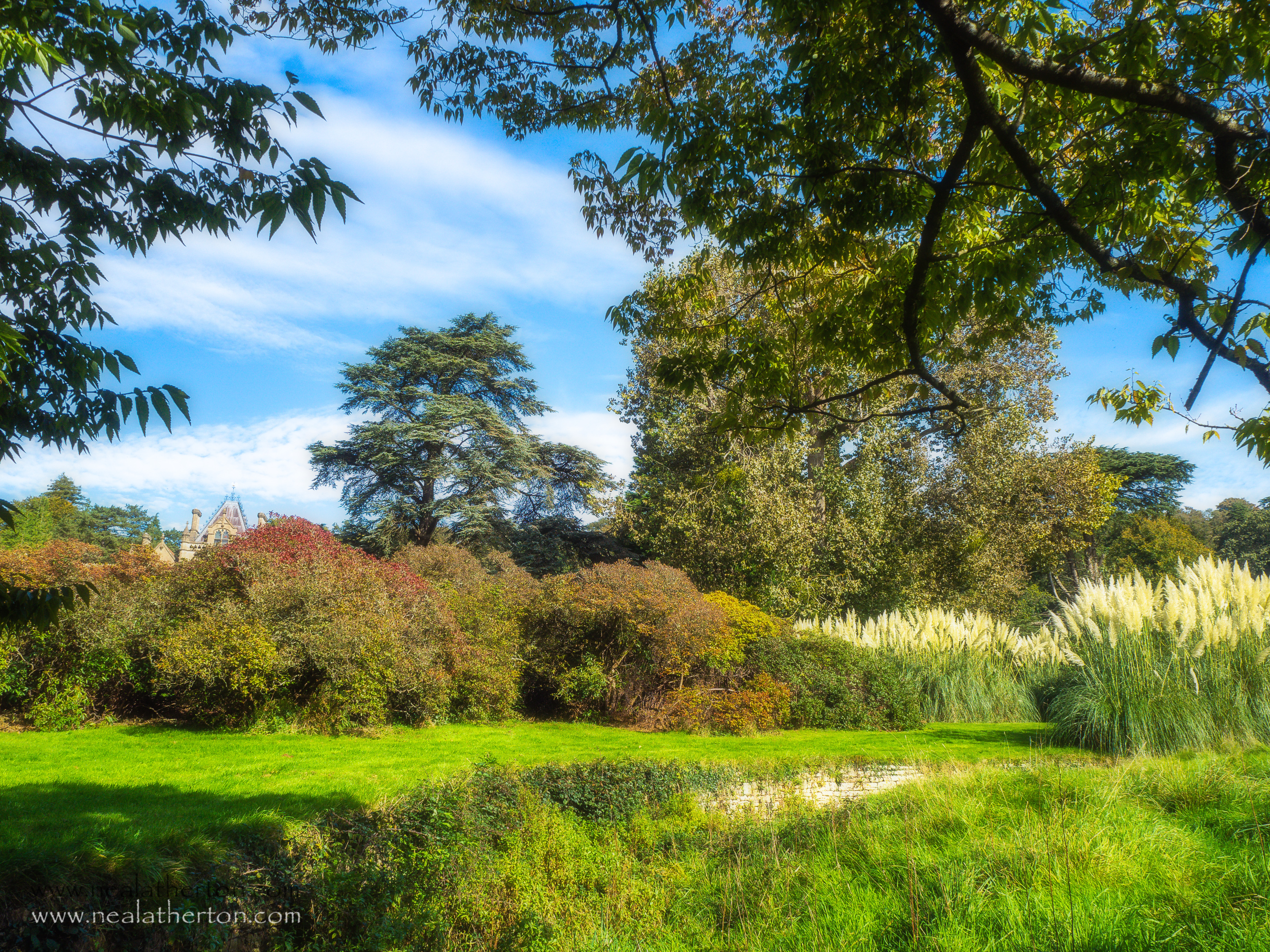 grass and stream with trees and bushes under blue sky with victorian house