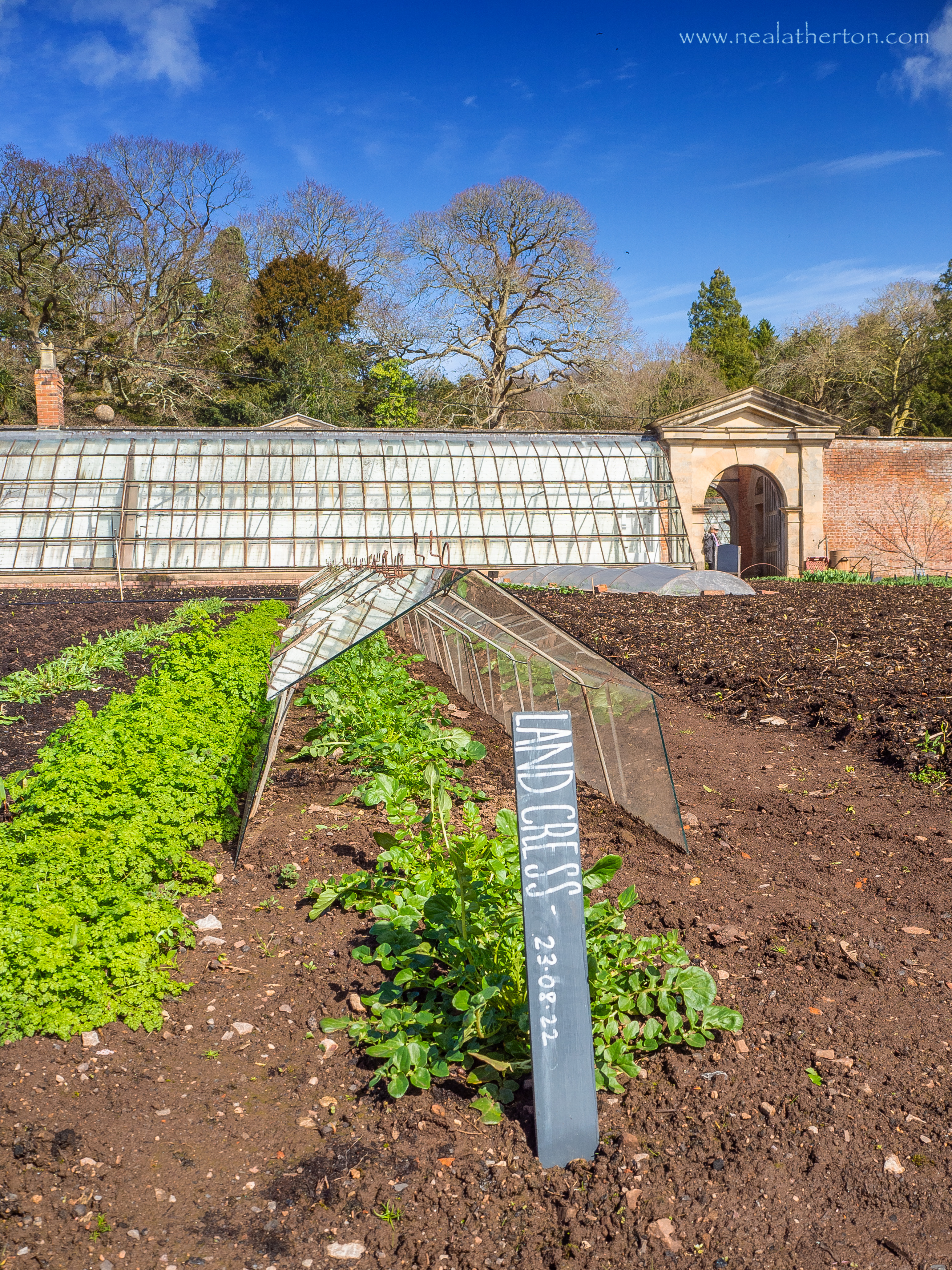 sign with plants in garden with wall and glasshouse and blue sky and trees