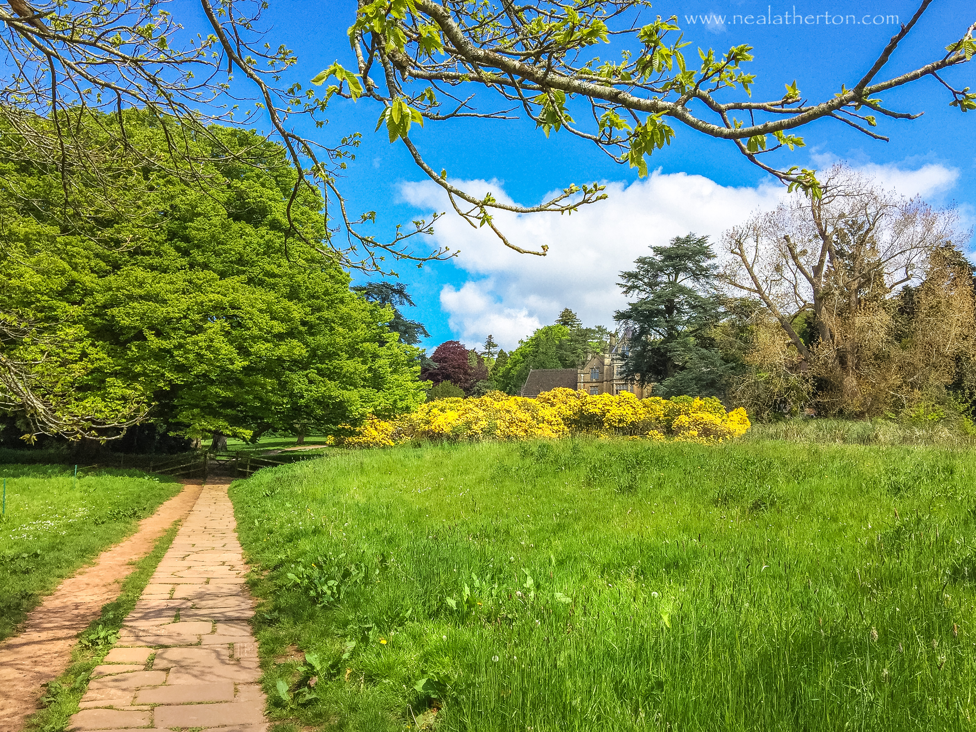 grassed area and stone path with trees and house unser a blue sky with white clouds