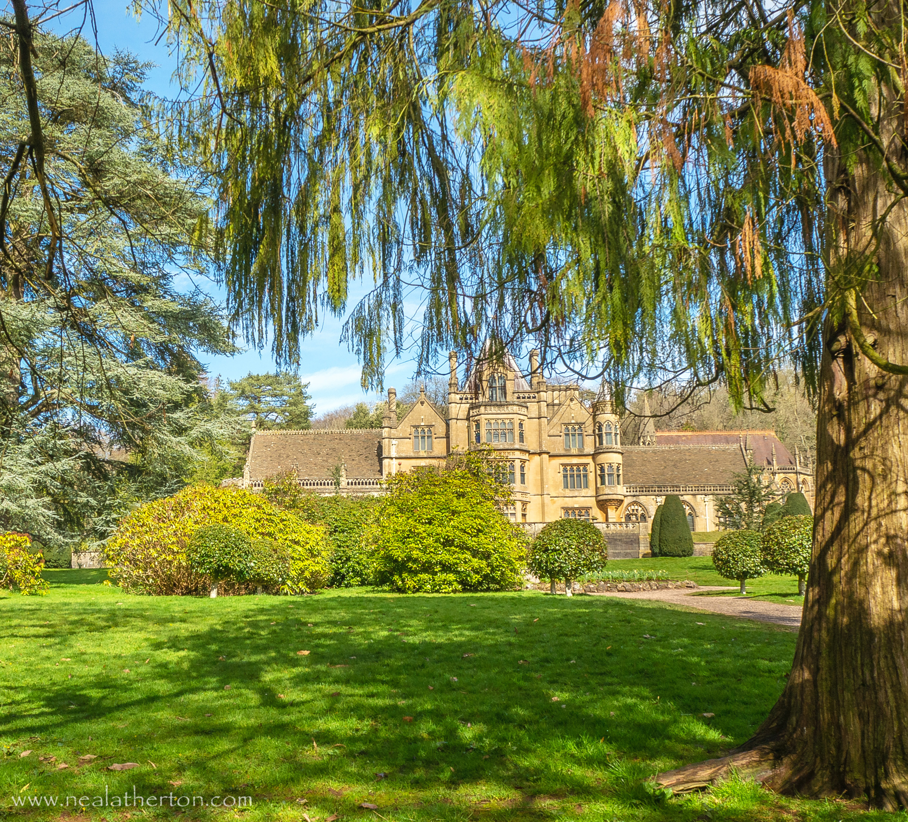 Overhanging tree on lawn with grand old house in background and bly sky