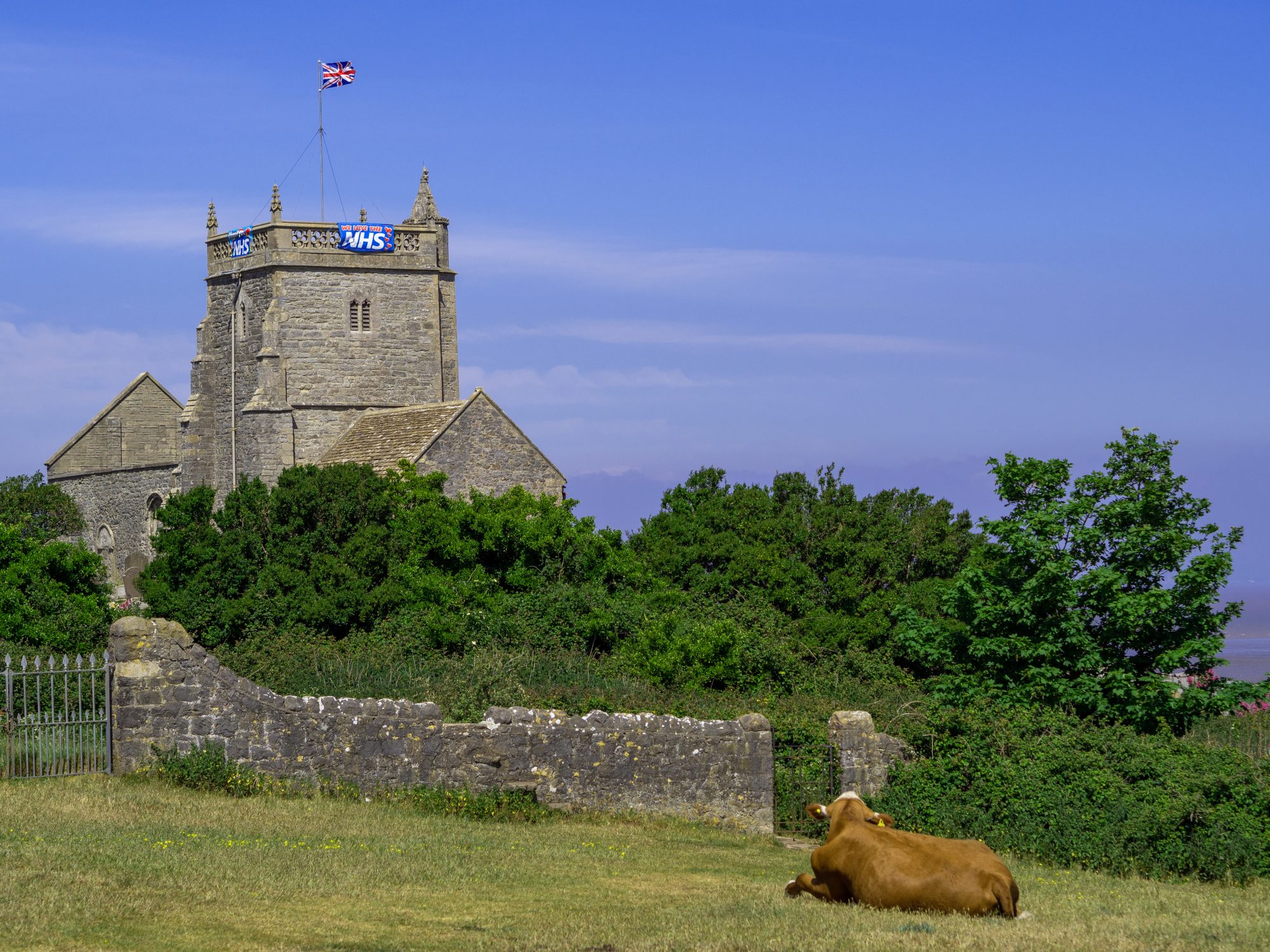 church with flag on tower and trees by metal gates and cow on grass