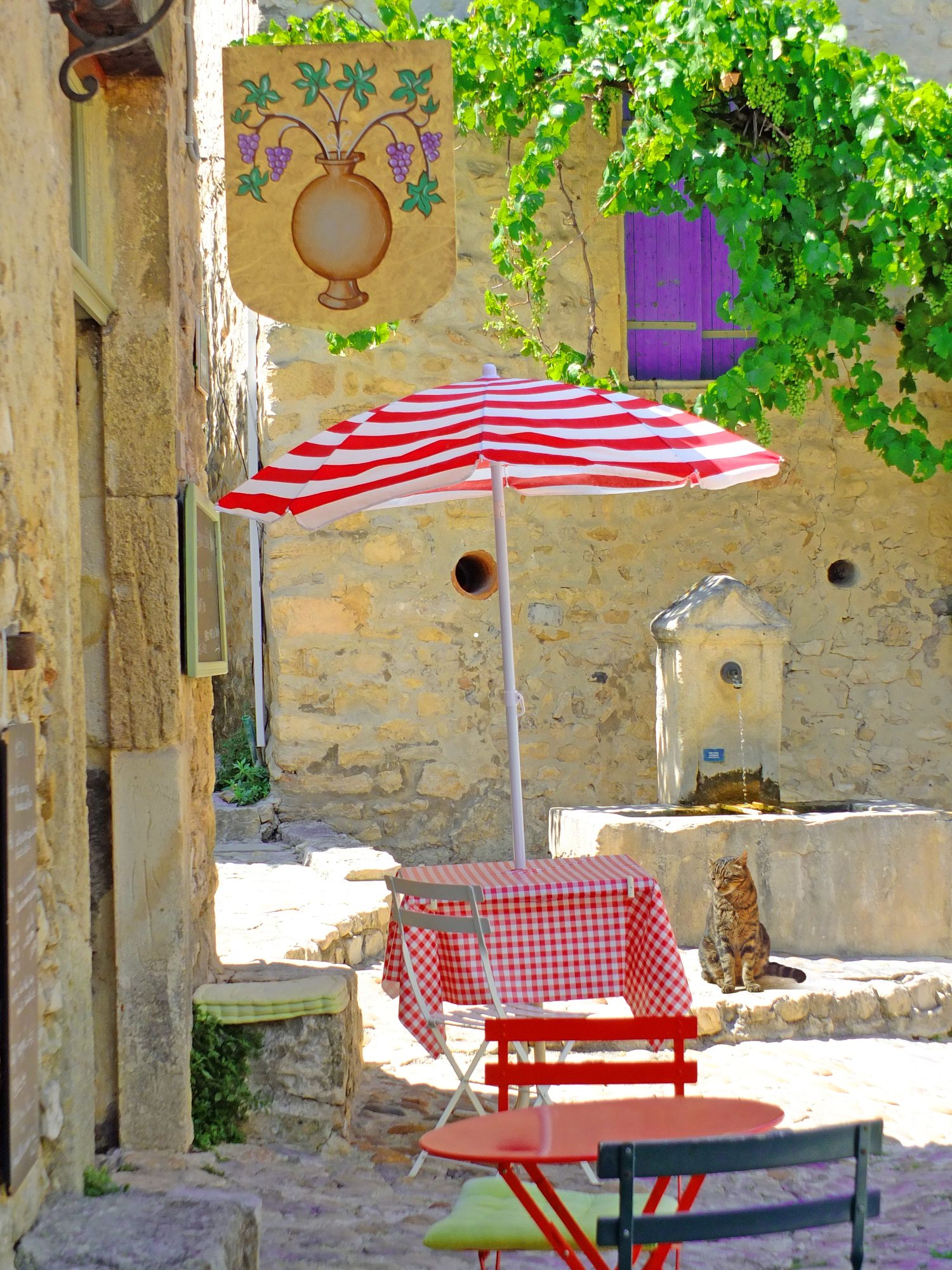table and chairs and parasol on cobbled street by cafe with cat by fountain