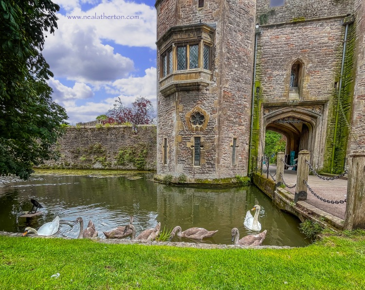 grass bank by water moat with swans and medieval stone gatehouse with trees and wall