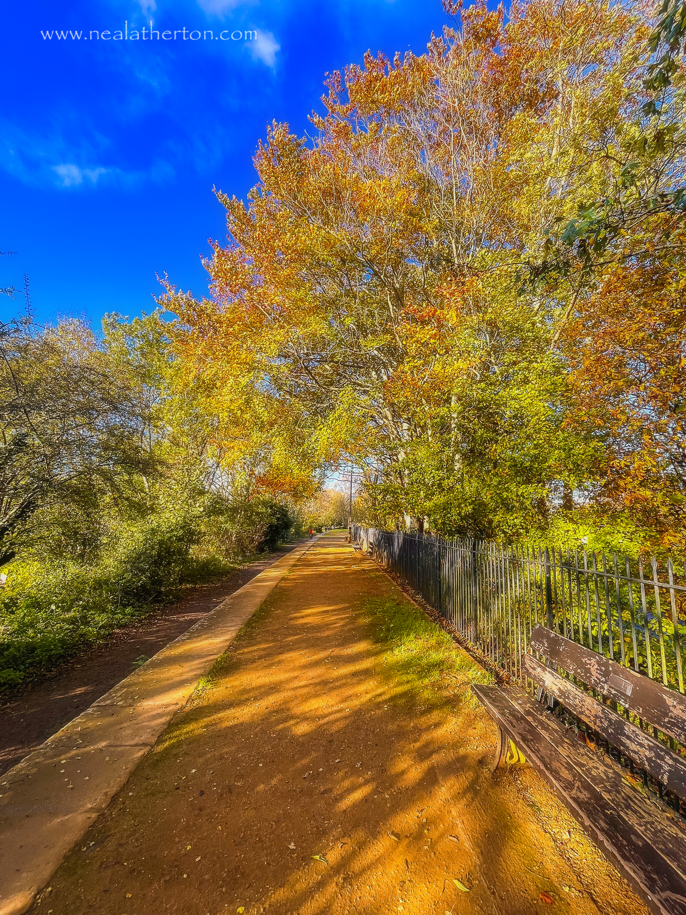 trees lining station platform with blue sky and walking path with bench