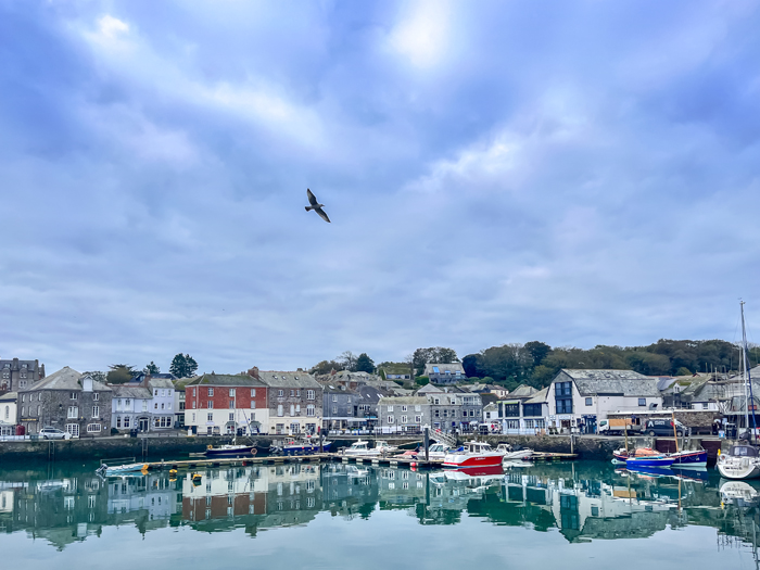 Soft morning light in a harbour town with seagull and houses on harbourside